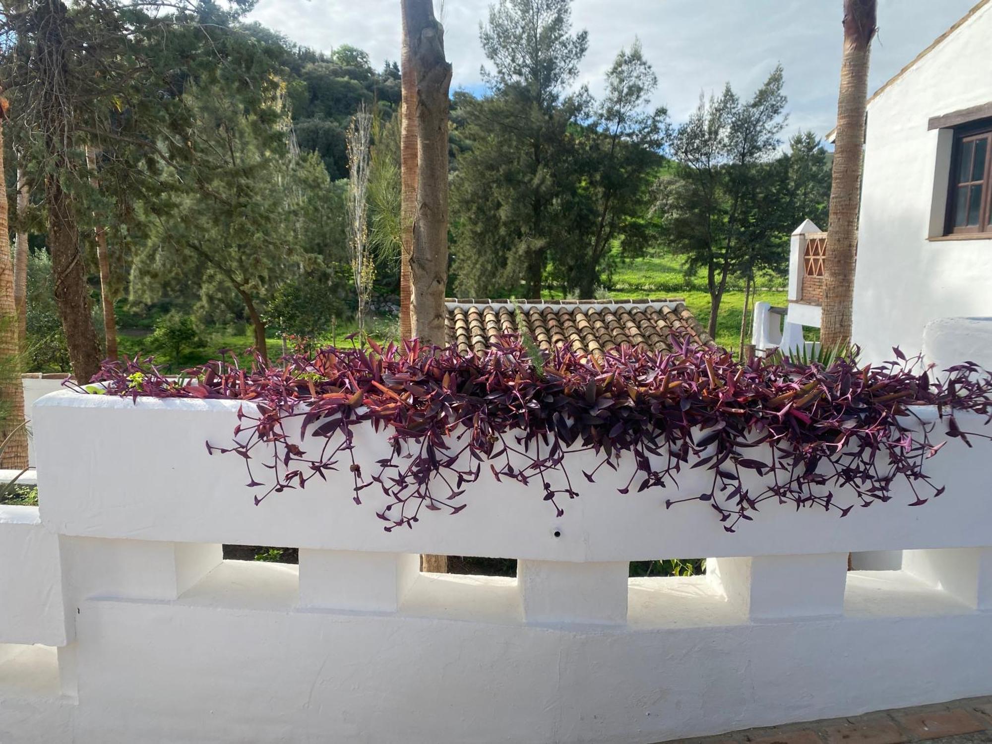 Malaga Sierra De Las Nieves By Real Spain Hotels Adults Recommended Casarabonela Zewnętrze zdjęcie